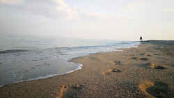 Photo de Plyazh Serhiyivka avec rivage droit, long