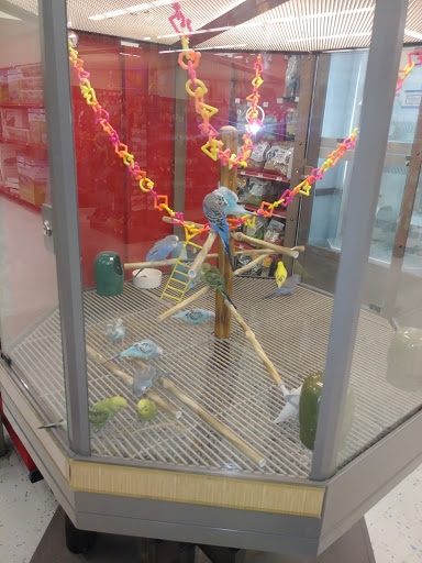 Pet Supply Store «Petco Animal Supplies», reviews and photos, 3066 US-34, Oswego, IL 60543, USA