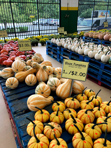 Produce Market «Produce Junction Inc», reviews and photos, 272 Pottstown Pike, Exton, PA 19341, USA