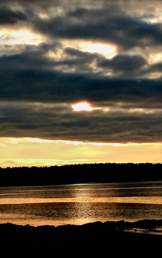 Animal Shelter «Animal Adventures Family Zoo & Rescue Center», reviews and photos, 336 Sugar Rd, Bolton, MA 01740, USA