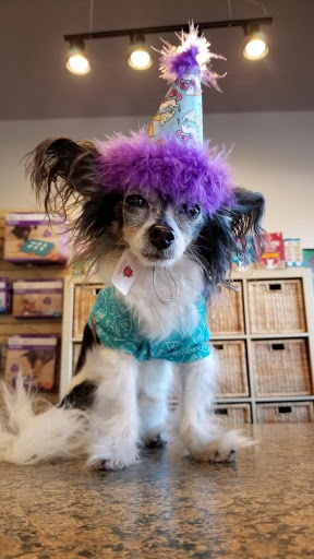 Pet Supply Store «Natural Pawz - Vintage Park», reviews and photos, 142 Vintage Park Blvd, Houston, TX 77070, USA