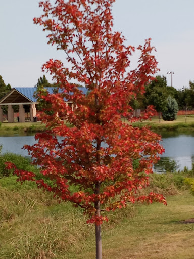 Park «Russell Creek Park», reviews and photos, 3500 McDermott Rd, Plano, TX 75025, USA