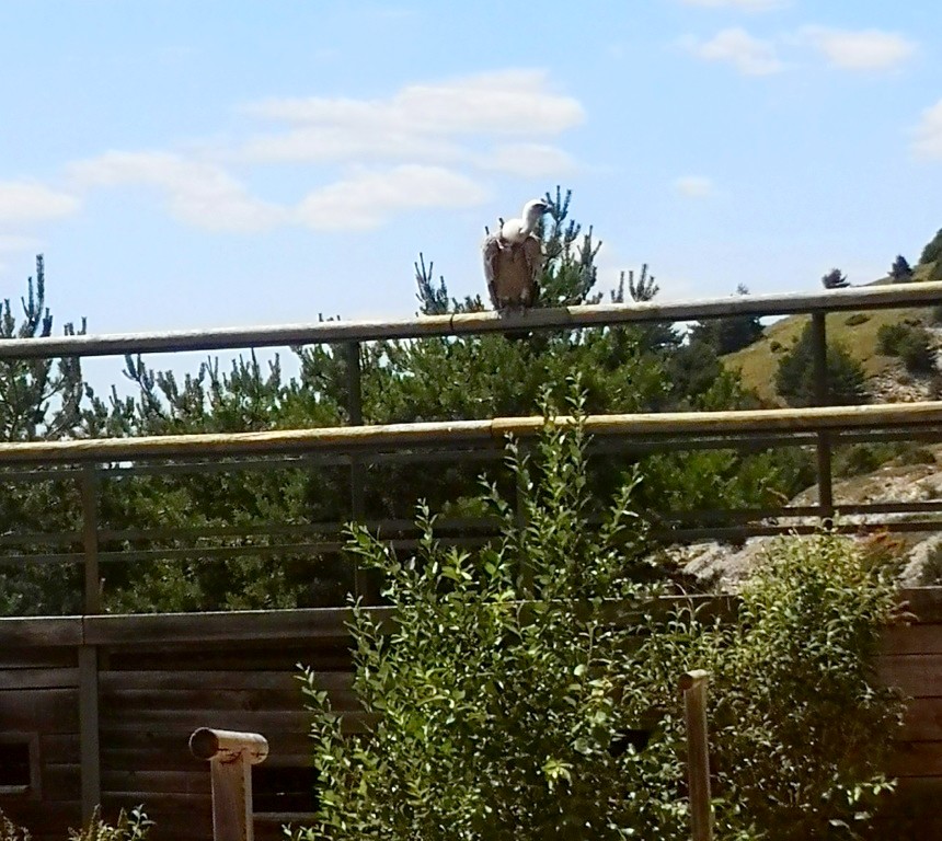 Photo n° 9 de l'avis de Thierry.E fait le 17/06/2022 à 17:40