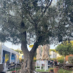 Photo n°2 de l'avis de Eleonora.a fait le 07/08/2023 à 09:19 sur le  Piadineria I love piadina à Misano Adriatico