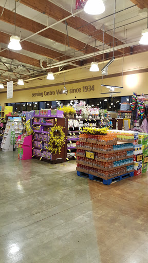 Grocery Store «Safeway», reviews and photos, 4015 E Castro Valley Blvd, Castro Valley, CA 94552, USA