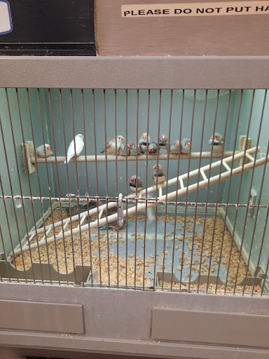 Pet Store «Fish Bowl», reviews and photos, 2117 E Race Ave, Searcy, AR 72143, USA