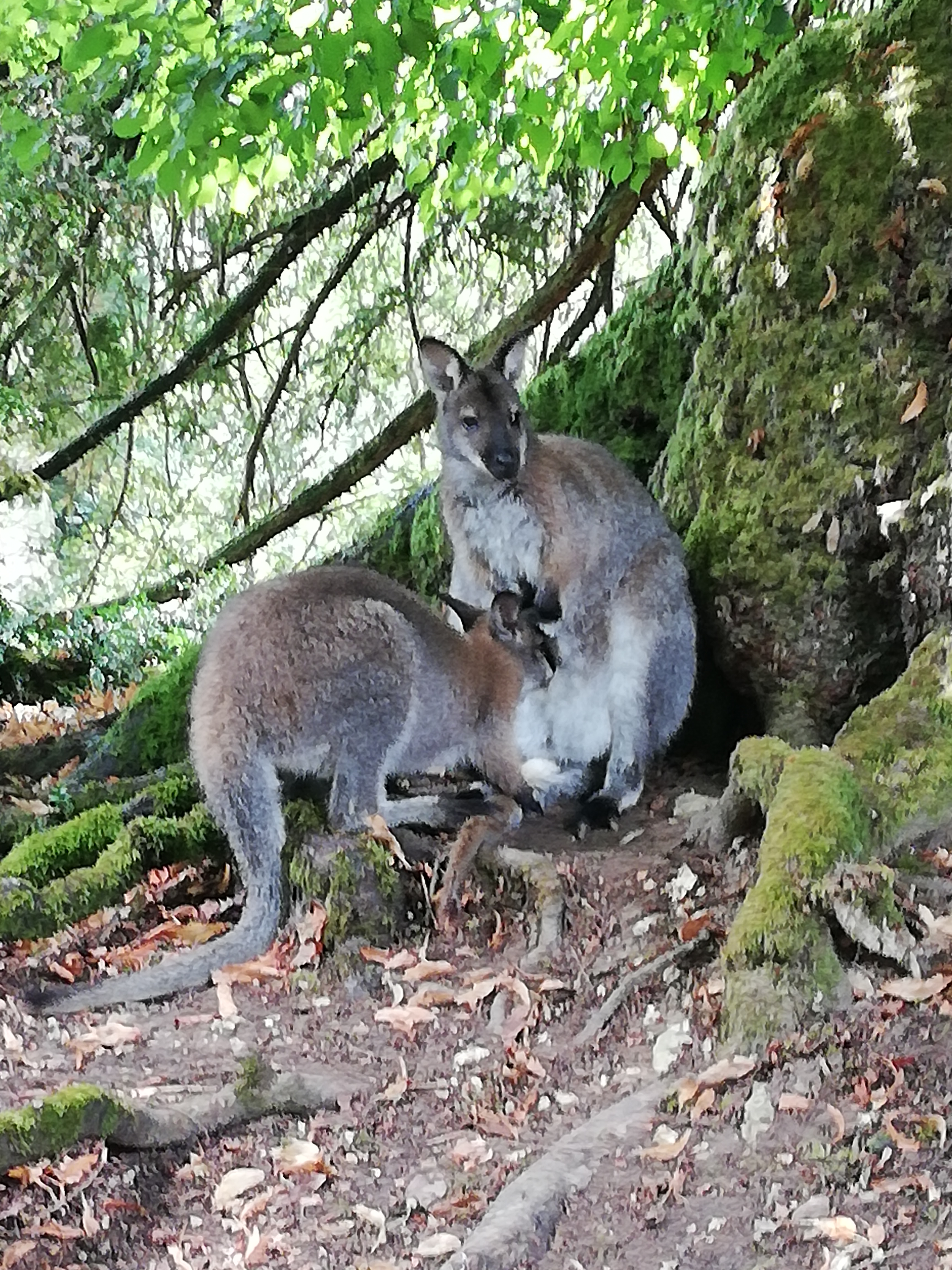 Photo n° 8 de l'avis de Emilie.i fait le 13/08/2020 à 15:47