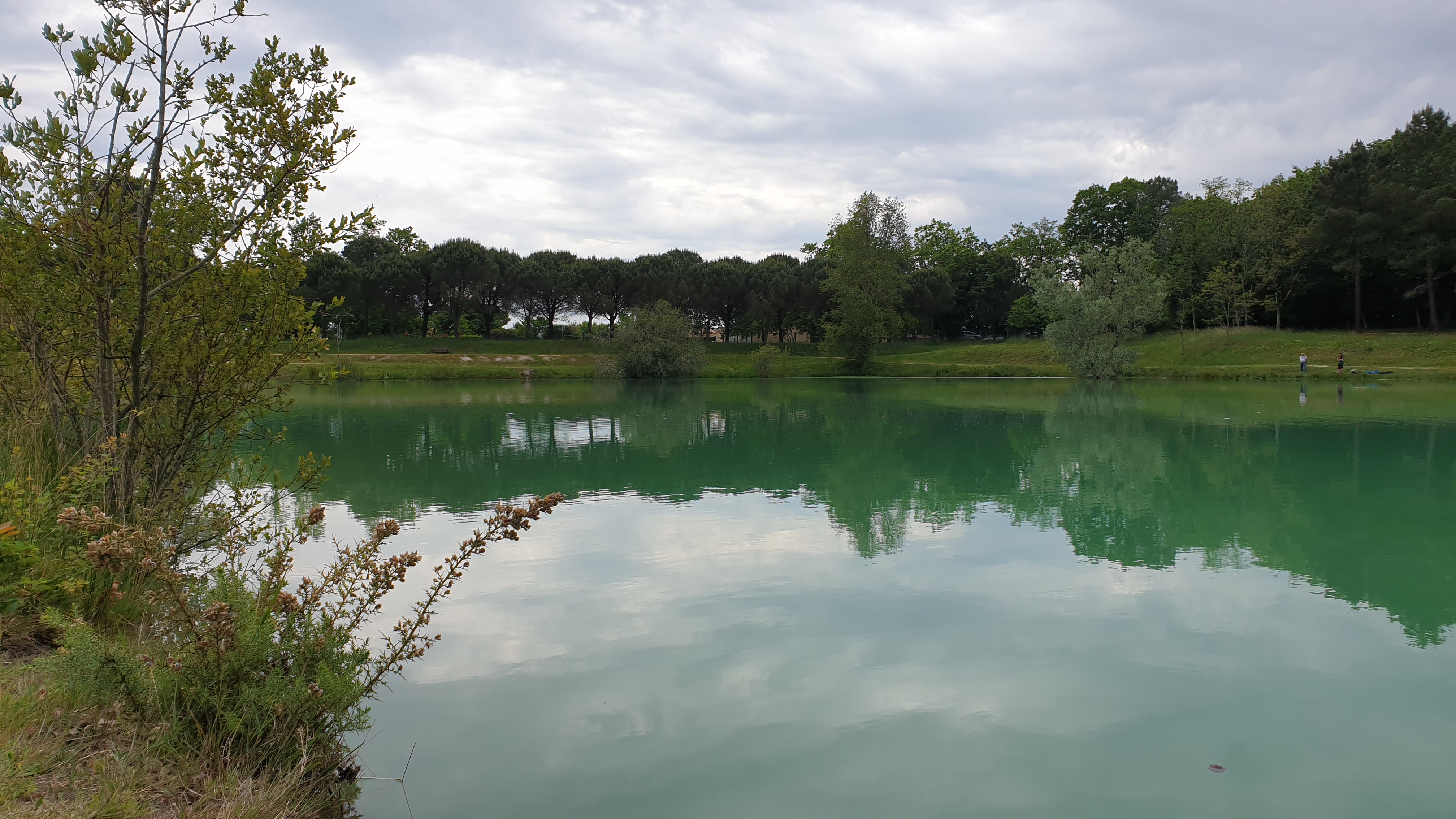 Photo n° 2 de l'avis de Diffuseur.t fait le 29/05/2021 à 18:37