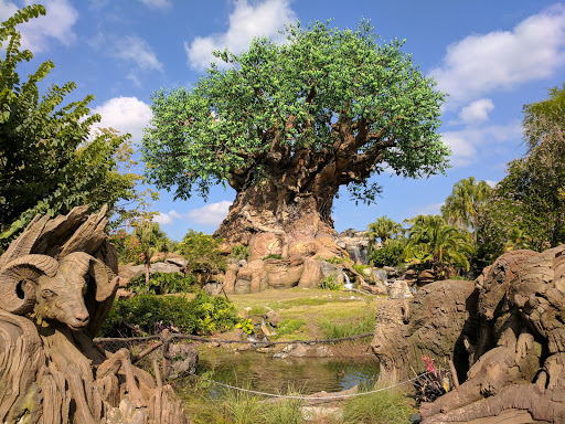 Disney's Animal Kingdom