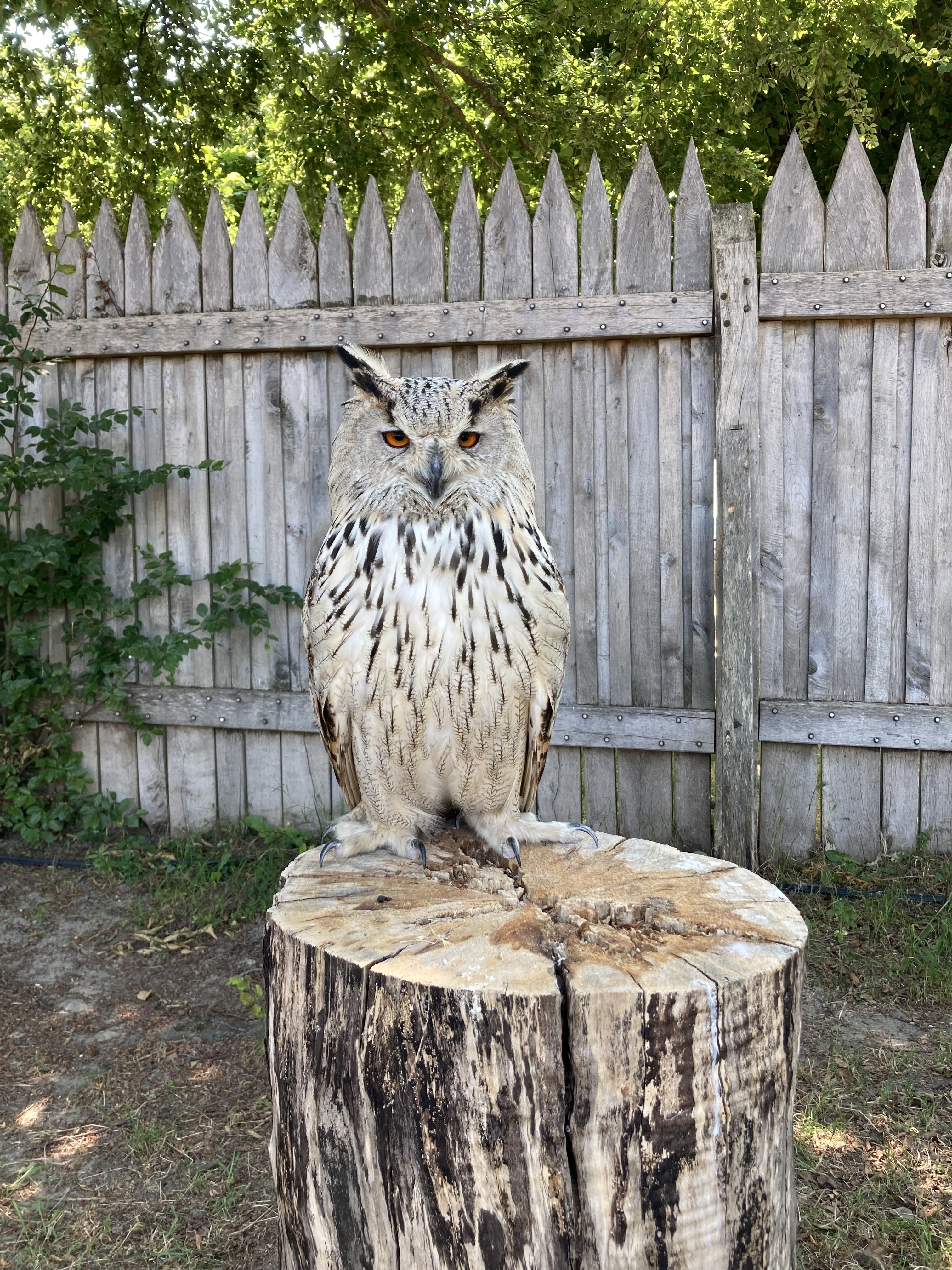 Photo n° 4 de l'avis de Remi.a fait le 11/06/2023 à 15:41