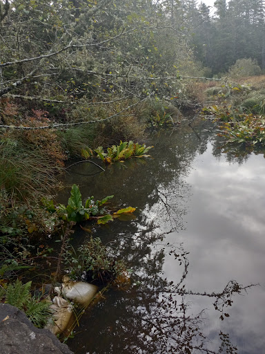 Historical Place «Klondike Gold Rush - Seattle Unit», reviews and photos, 319 2nd Ave S, Seattle, WA 98104, USA