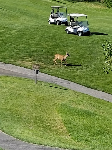 Public Golf Course «Eaglewood Golf Course», reviews and photos, 1110 E Eaglewood Dr, North Salt Lake, UT 84054, USA