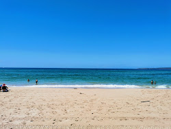 Cronulla Beach'in fotoğrafı vahşi alan