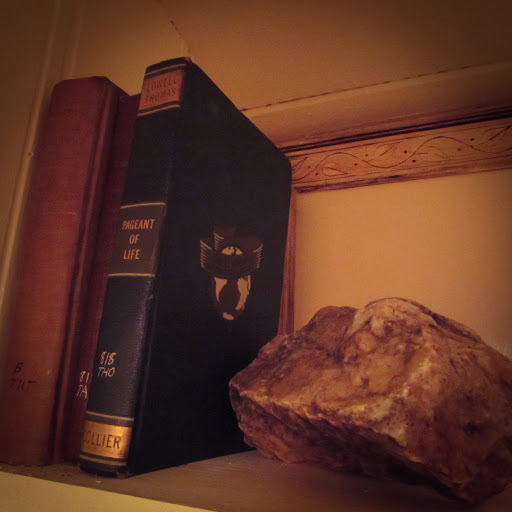 Bed & Breakfast «Red Leaf River Inn», reviews and photos, 146 Chestnut Walk Dr, Waynesville, NC 28786, USA