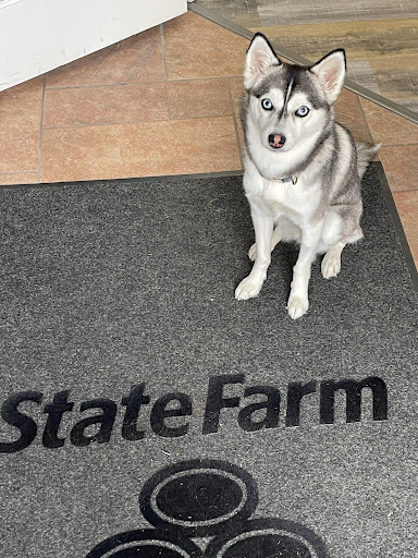 Insurance Agency «State Farm: Jeff Burtis», reviews and photos
