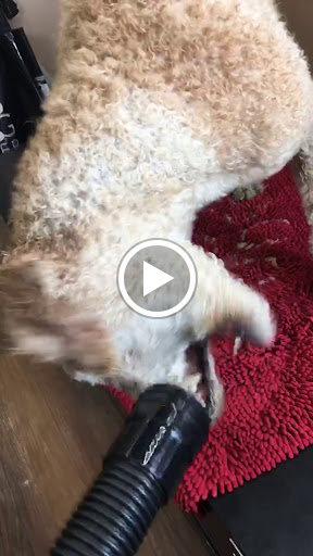 Pet Store «Pet Valu», reviews and photos, 225 Allwood Rd, Clifton, NJ 07012, USA