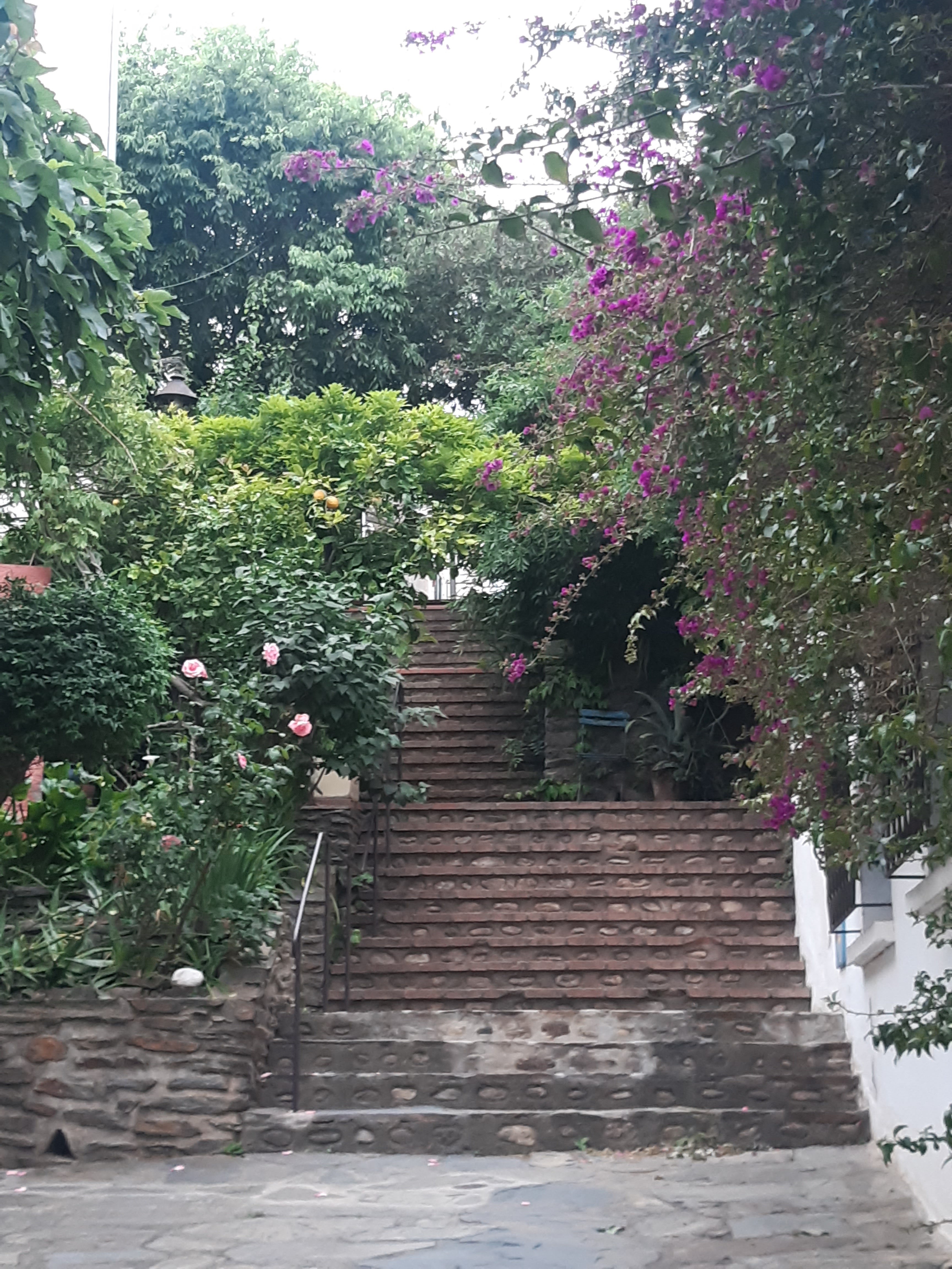 Photo n° 1 de l'avis de Cécile.a fait le 22/05/2021 à 00:36