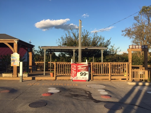 Gas Station «Newstar Market Inc», reviews and photos, 2936 John Marshall Hwy, Strasburg, VA 22657, USA