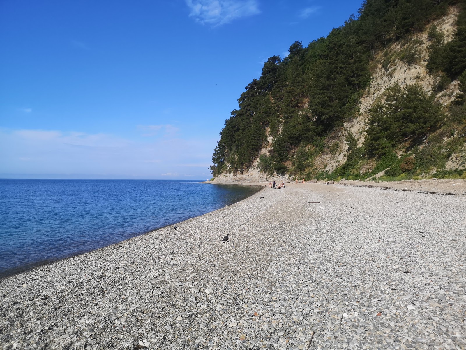 Photo of Pier 167 beach with gray pebble surface