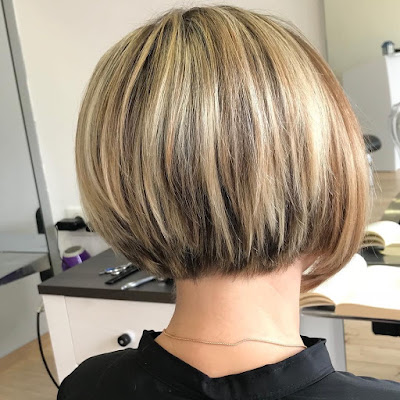 Gill amandine à Strasbourg