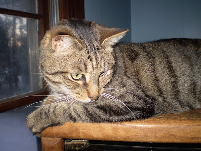 Blue Ridge Pet Care LLC