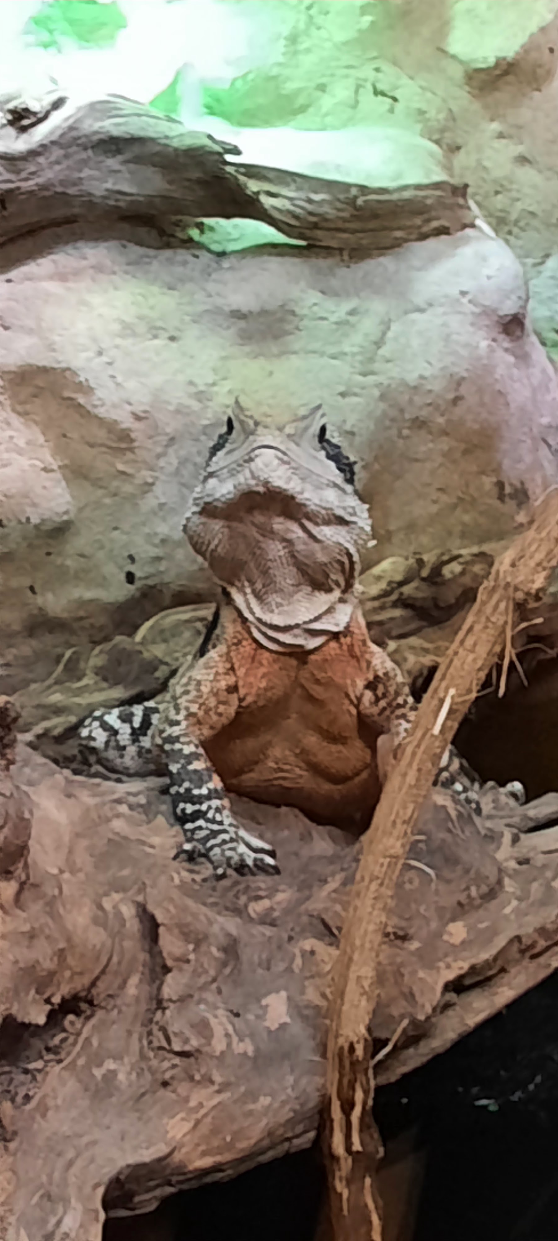 Photo n° 1 de l'avis de Hugo.i fait le 24/10/2021 à 16:24