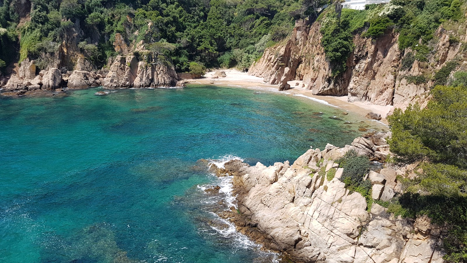 Zdjęcie Cala Sa Forcanera z powierzchnią jasny, drobny piasek