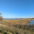 Rumney Marsh Reservation