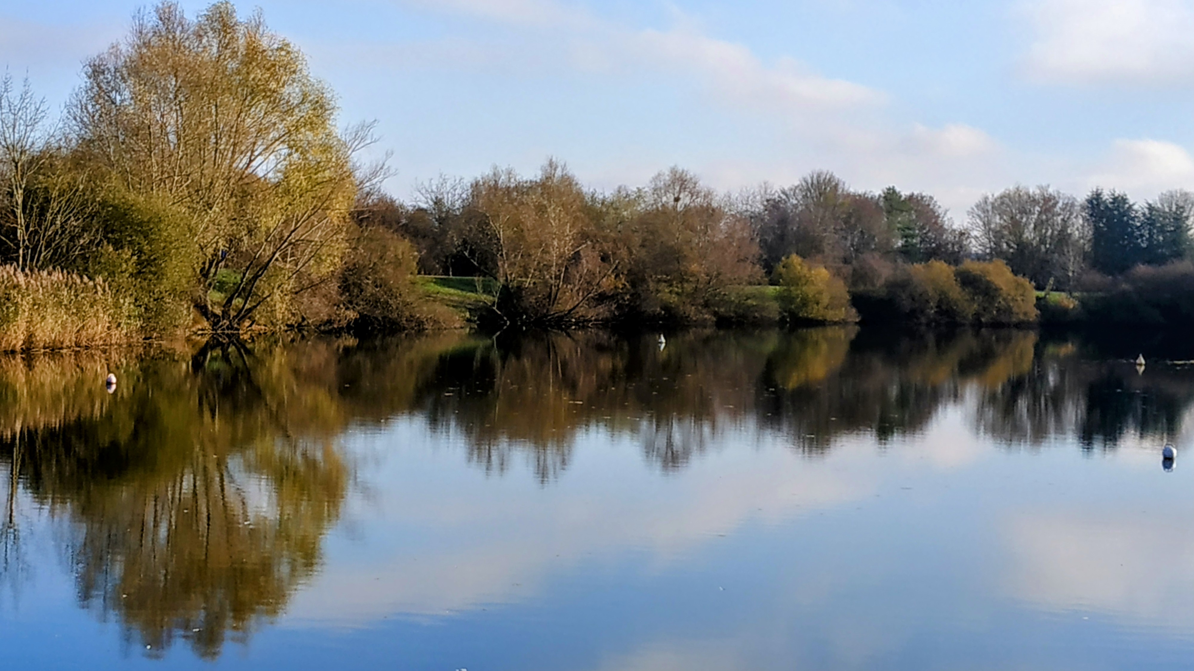 Photo n° 11 de l'avis de The.a fait le 11/12/2022 à 15:45
