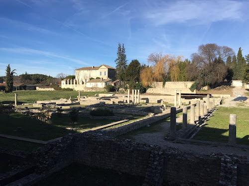 Maison au dauphin à Vaison-la-Romaine