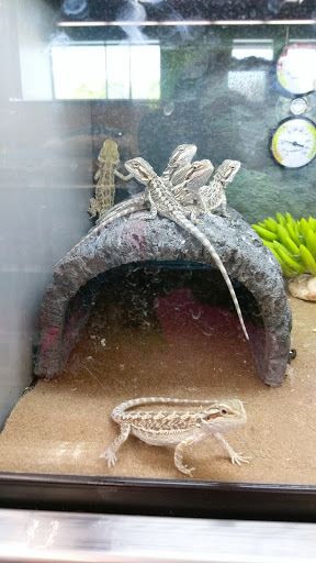 Pet Supply Store «Petco Animal Supplies», reviews and photos, 839 New York Ave, Huntington, NY 11743, USA