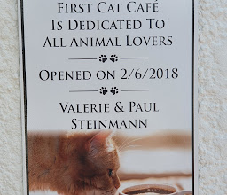 Cat Cafe South Africa photo
