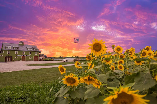 Wedding Venue «Thousand Acre Farm», reviews and photos, 260 Reedy Point Rd, Middletown, DE 19709, USA