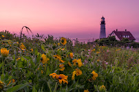 CFW Photography - Photo 2 - Car repair in , Portland