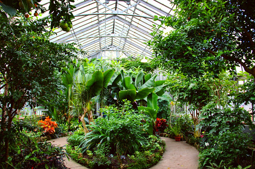 Anna Scripps Whitcomb Conservatory image 3