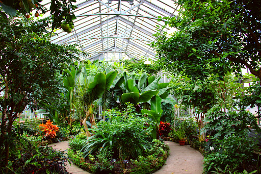 Tourist Attraction «Anna Scripps Whitcomb Conservatory», reviews and photos, 900 Inselruhe Ave, Detroit, MI 48207, USA