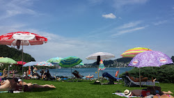 Foto di Badi Hergiswil Beach e l'insediamento