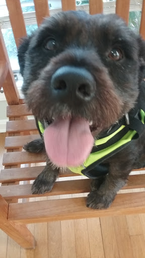 118 Atlantic Ave, Ocean View, DE 19970, USA