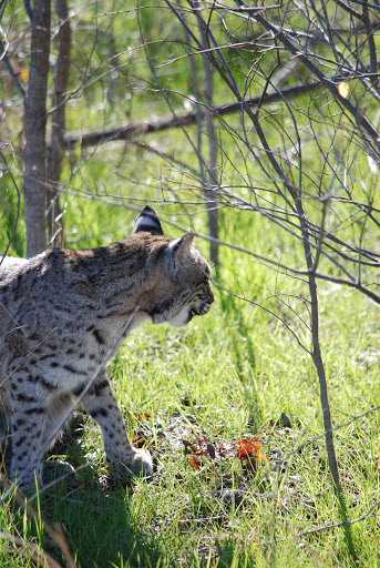 Park «Rickel Park», reviews and photos, 2100 Rickel Park Dr, Hurst, TX 76053, USA