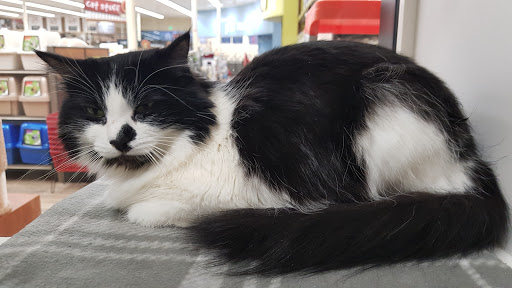 Pet Supply Store «Pet Food Express», reviews and photos, 609 San Ramon Valley Blvd, Danville, CA 94526, USA