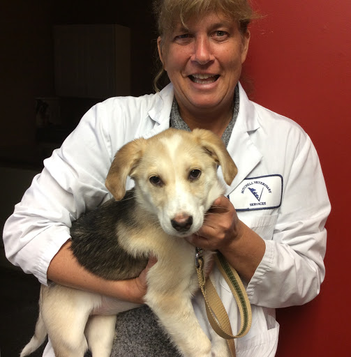 Mitchell Veterinary Services image