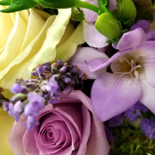 Florist «Mills & Young Florists», reviews and photos, 7122 Dixie Hwy, Louisville, KY 40258, USA