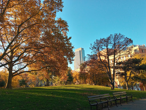 Fort Greene Park image 10