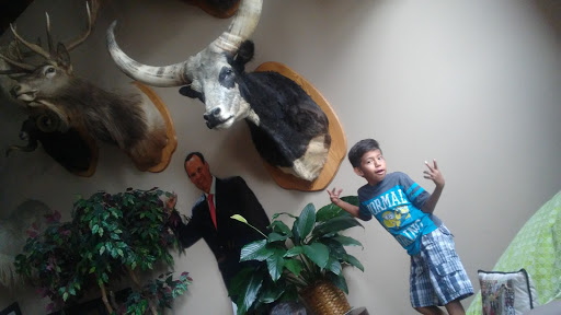 Personal Injury Attorney «Brian Loncar & Associates», reviews and photos