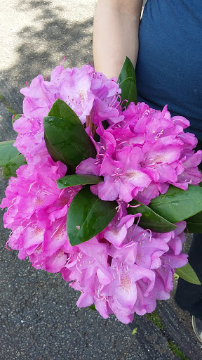 Fishing Area «Kinzua Dam», reviews and photos