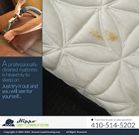 Hippo Carpet Cleaning of Severn - Photo 5 - Car repair in , Columbia