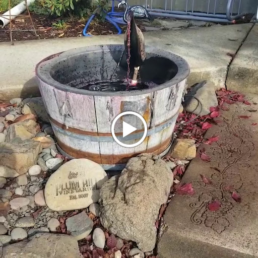 Winery «Plum Hill Vineyards», reviews and photos, 6505 SW Old Highway 47, Gaston, OR 97119, USA
