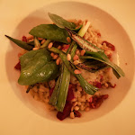 Photo n°3 de l'avis de Stefania.n fait le 20/02/2020 à 14:51 sur le  Katz Orange à Berlin