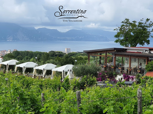 Sorrentino Winery | Resort | Restaurant