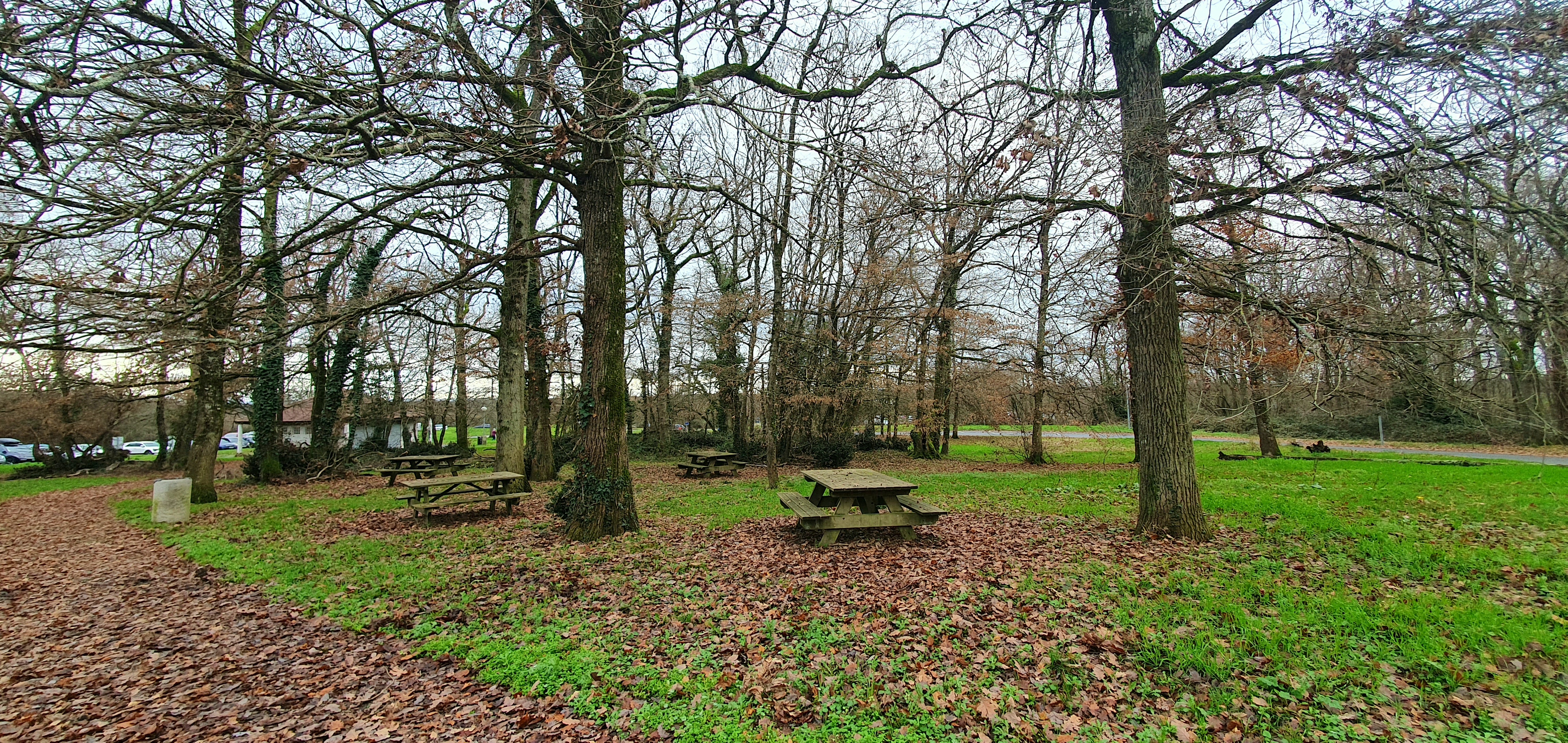 Photo n° 13 de l'avis de KASPAR. fait le 24/12/2023 à 17:00